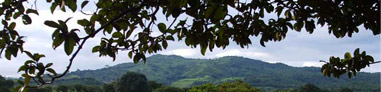 Mountains Mountains